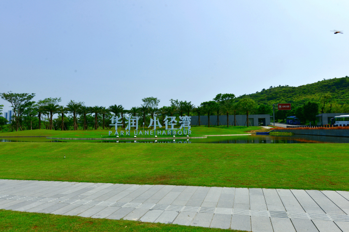 97.jpg